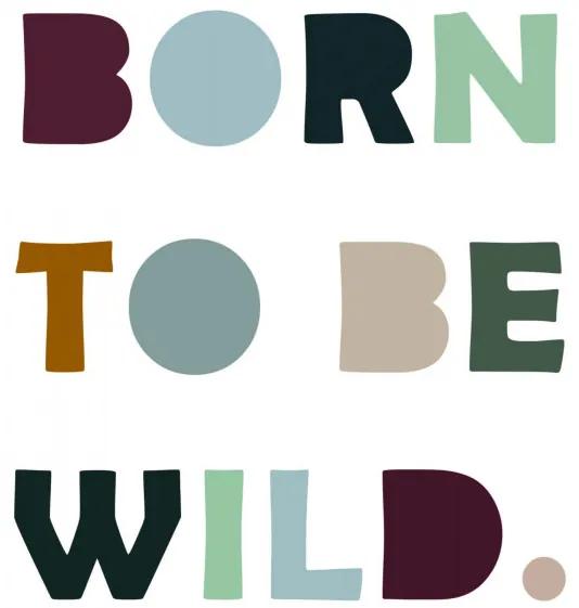 Tablou Born to be Wild
