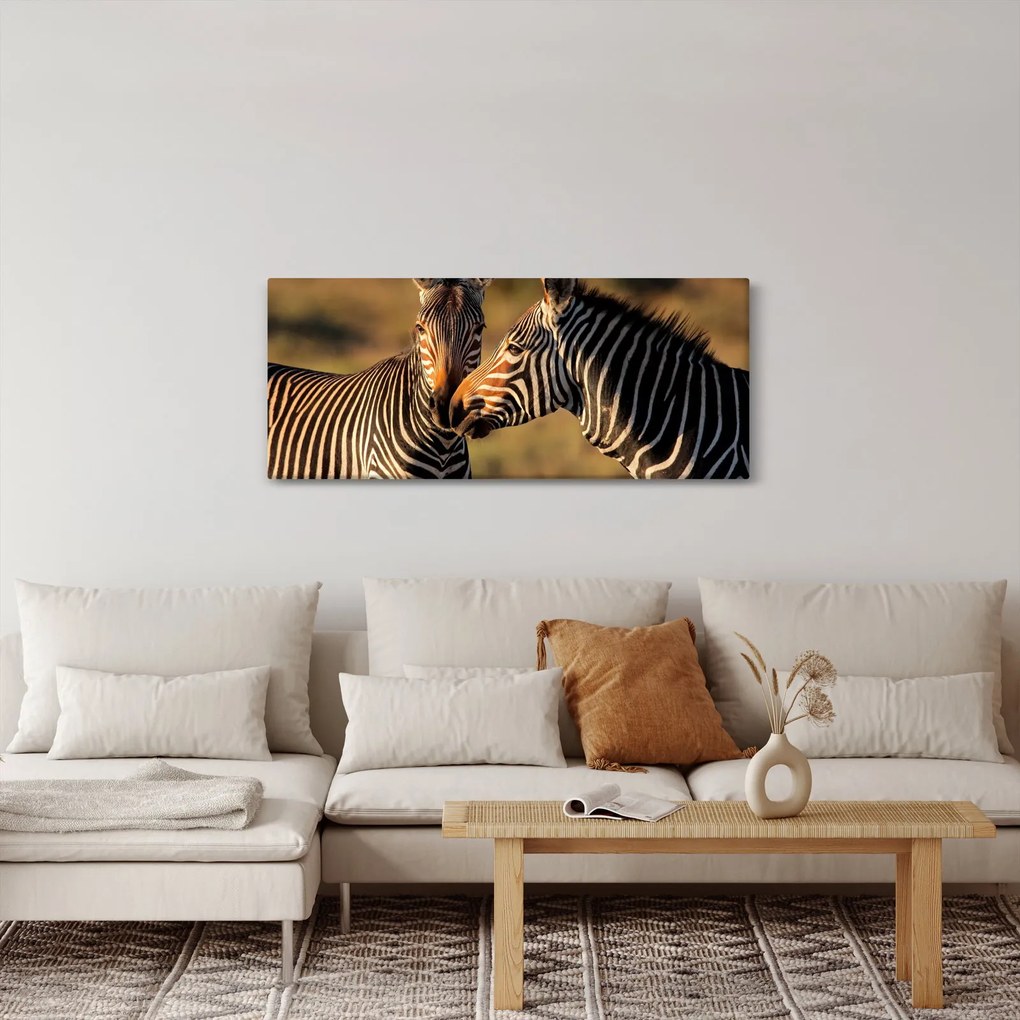 Tablou - Două zebre (120x50 cm)