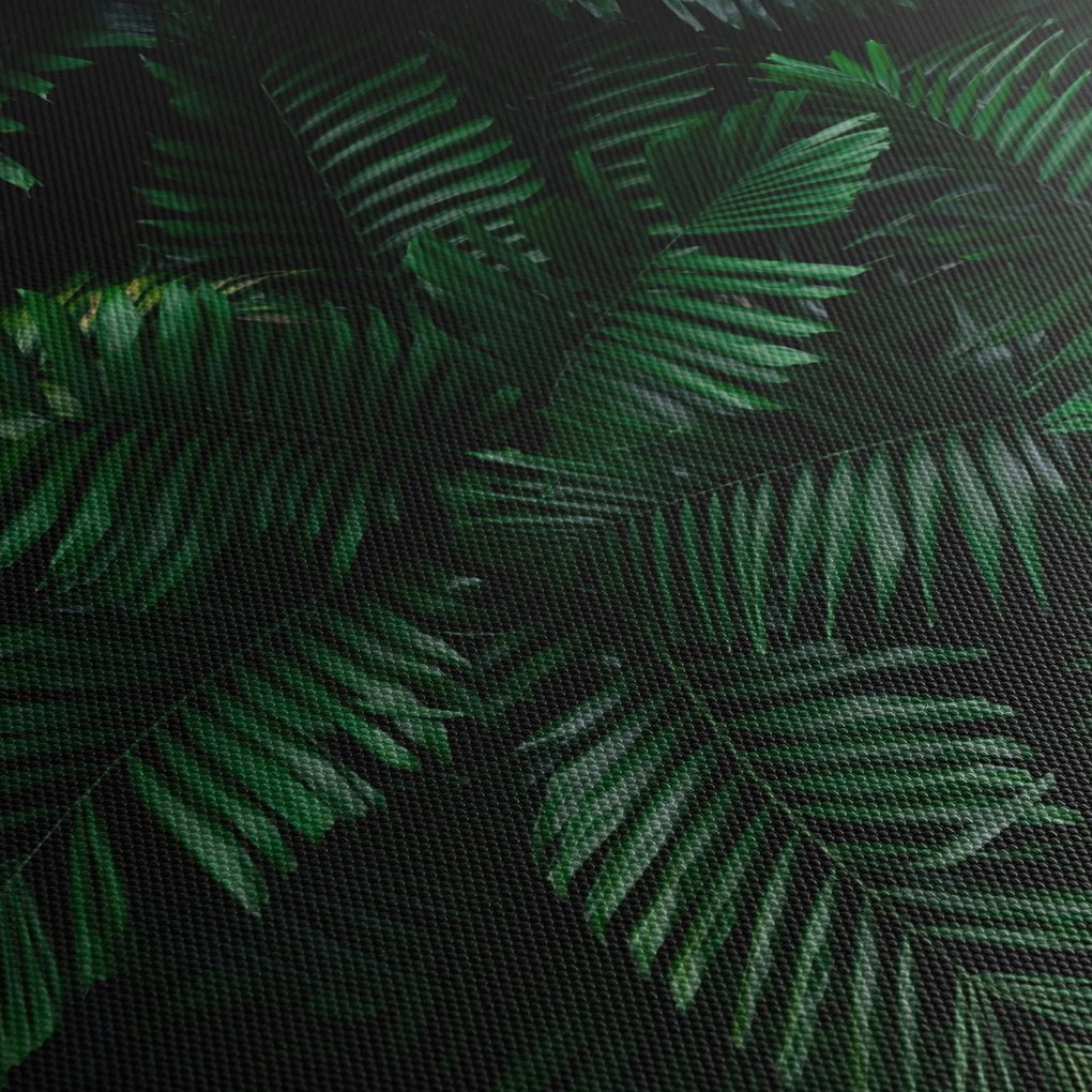 Tablou - Păpădii tropicale (70x50 cm)