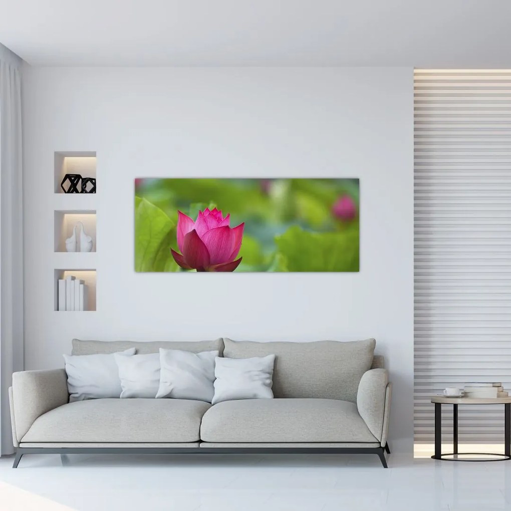 Tablou - floare de apă (120x50 cm)