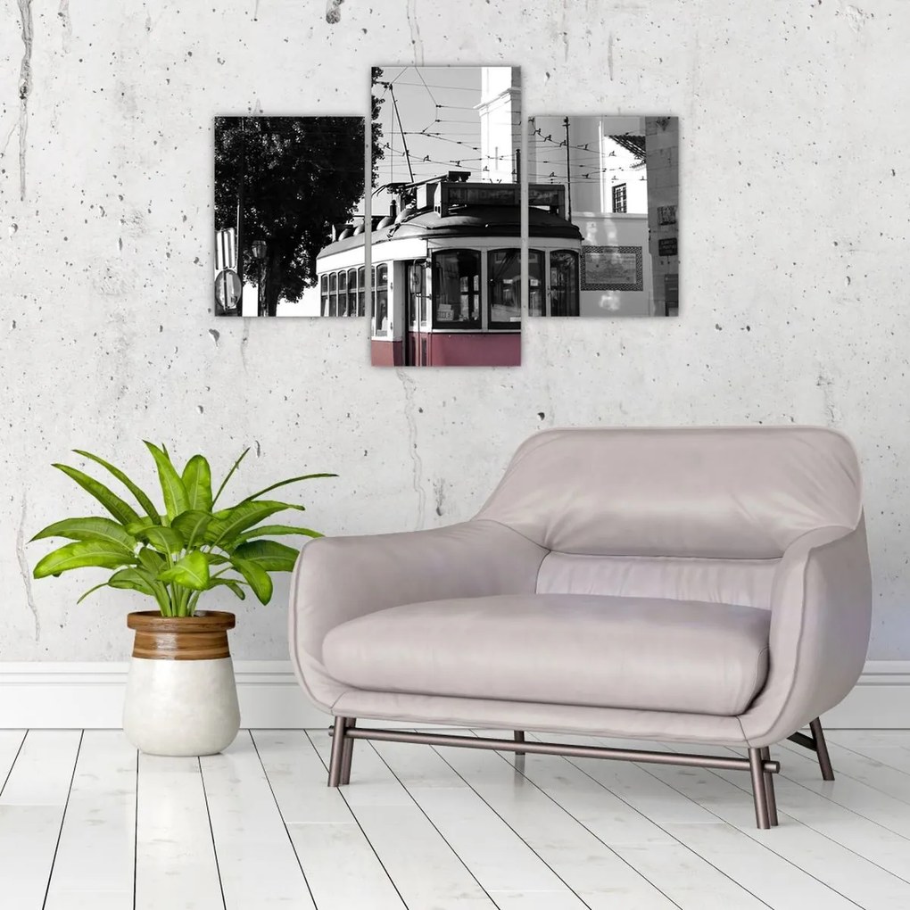 Tablou - Tramvaiul (90x60 cm)