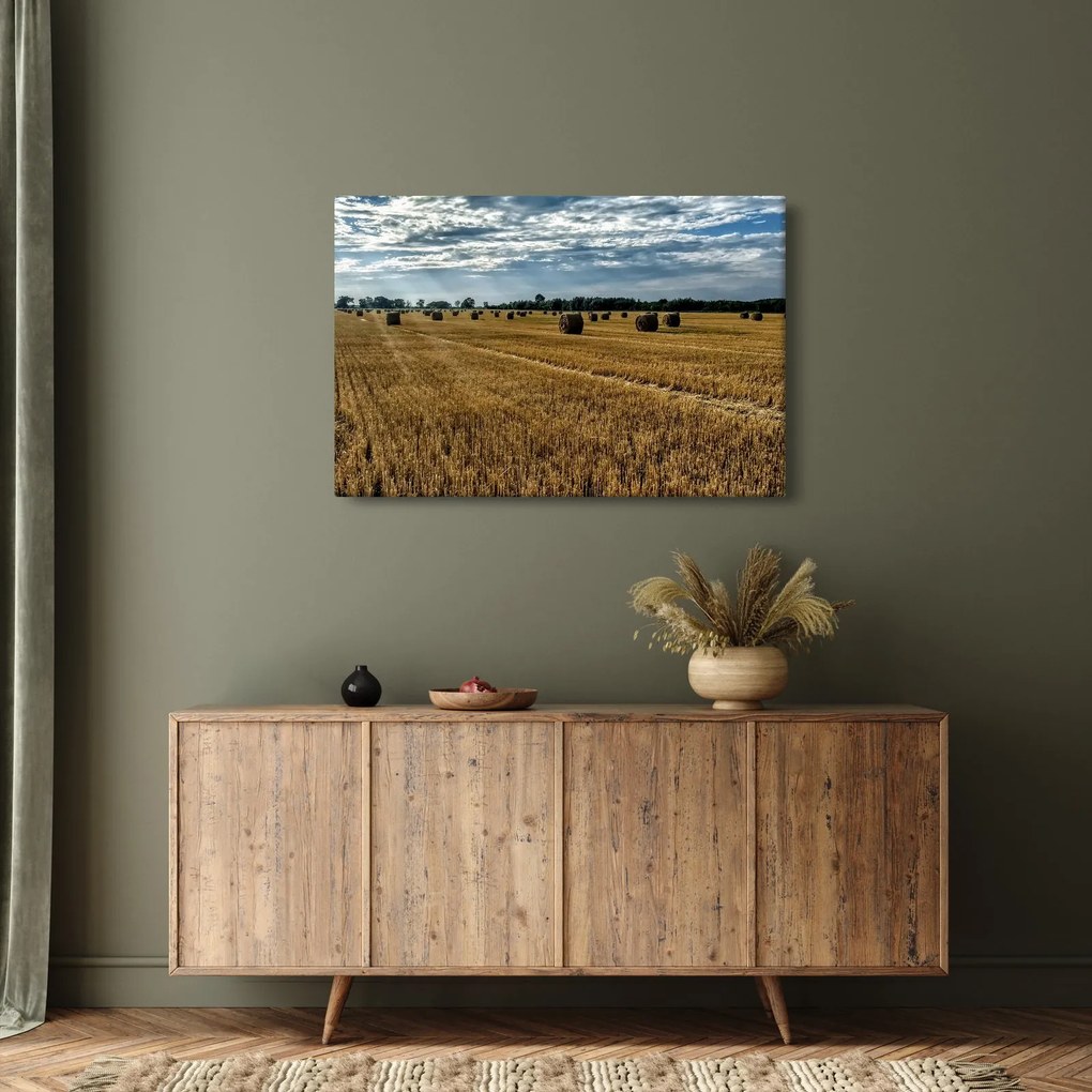 Tablou cu câmp recoltat (90x60 cm)