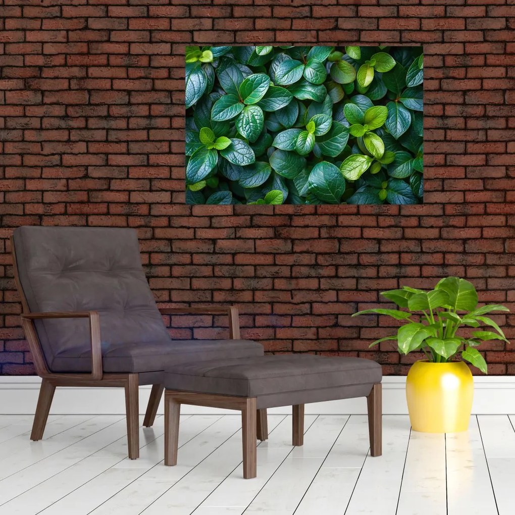 Tablou - Plante verzi (90x60 cm)