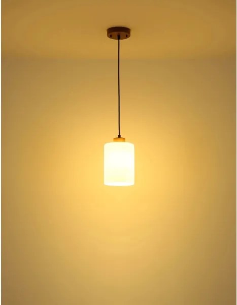 Globo 15977H - Lustră suspendată pe cablu ROWENA 1xE27/60W/230V stejar/alb