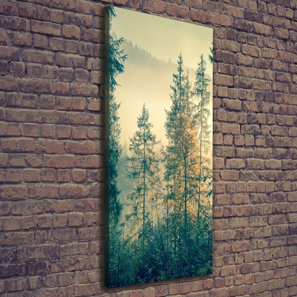 Print pe canvas Ceață peste pădure