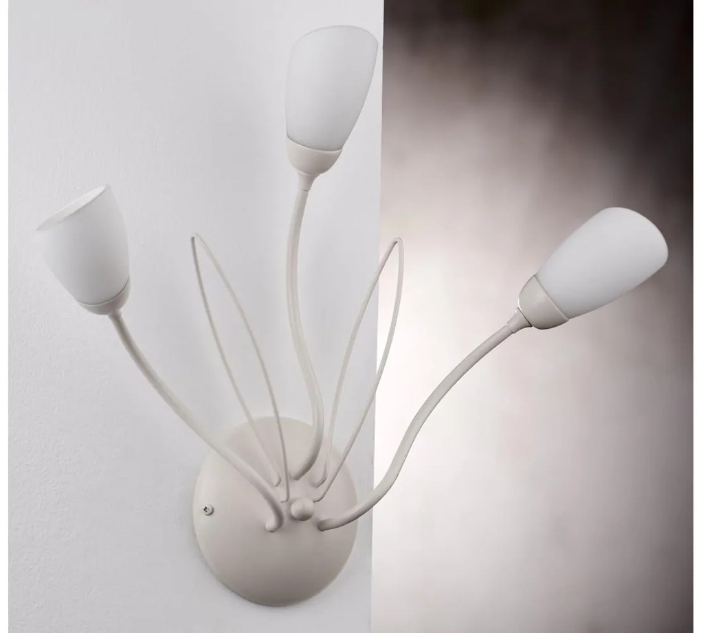 Jupiter 2064 - Aplică de perete GLORIOSA 3xG9/14W/230V, crem