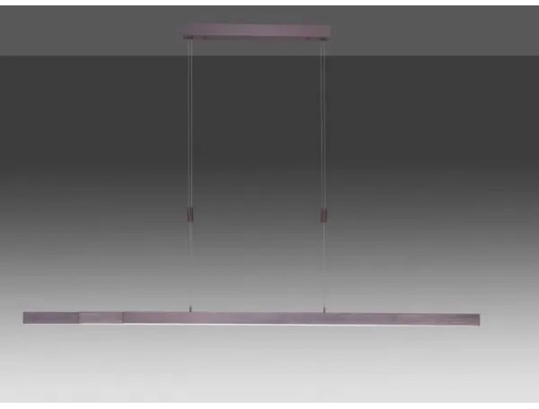 Lustră LED dimabilă pe cablu Paul Neuhaus 2568-24 ADRIANA LED/14W/230V