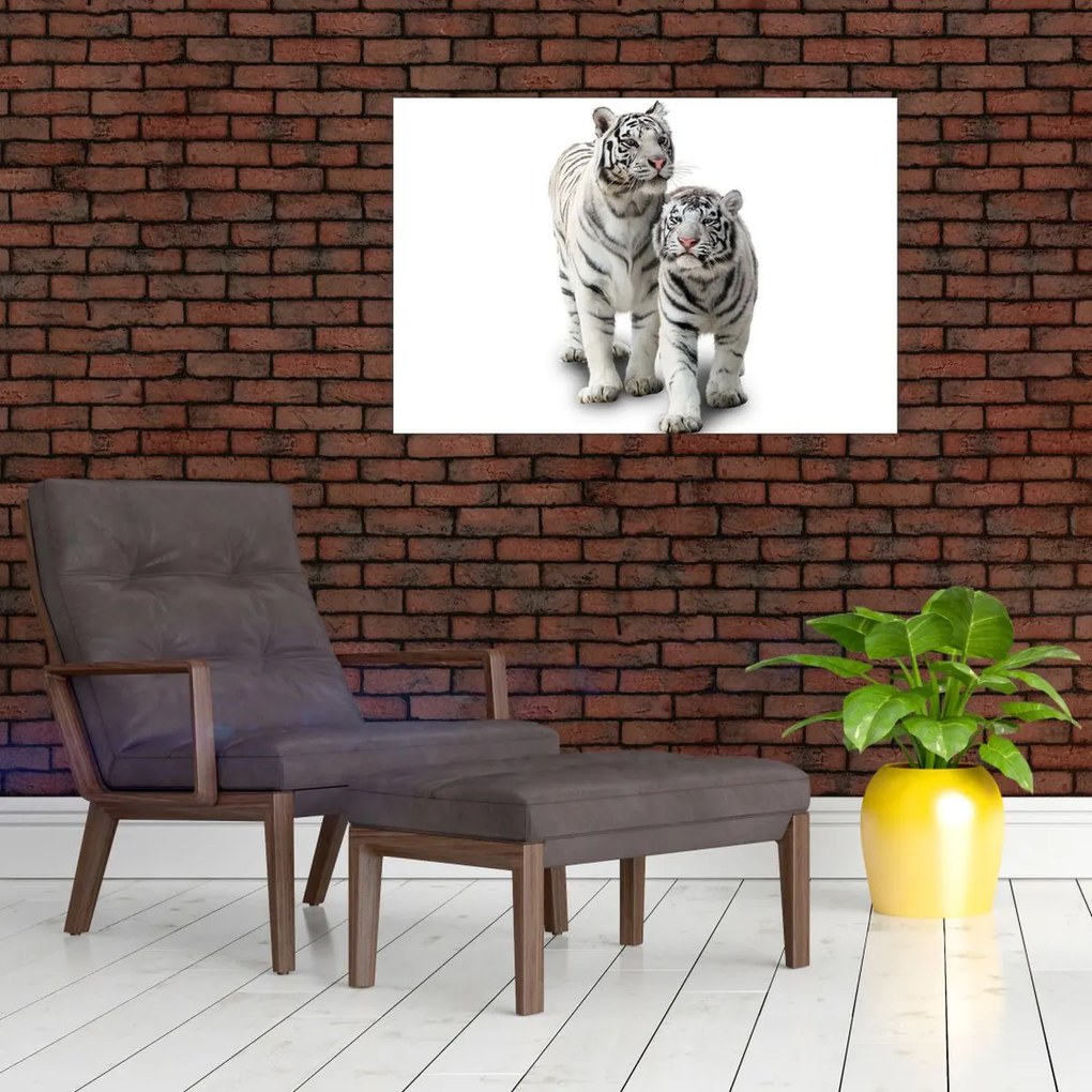 Tablou - Tigrul alb (90x60 cm)