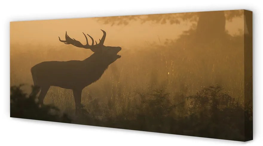 Tablouri canvas Sunrise Deer