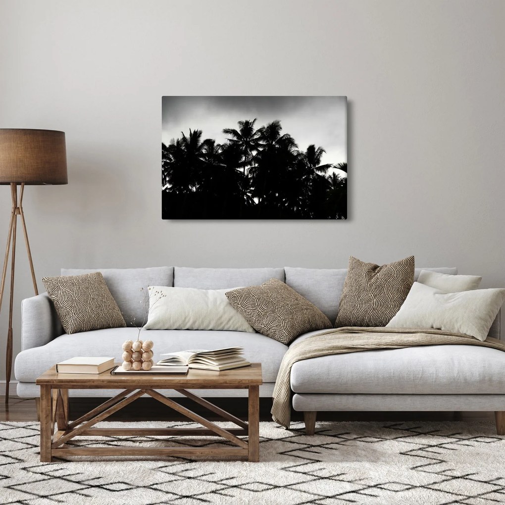 Tablou alb negru - palmieri (90x60 cm)