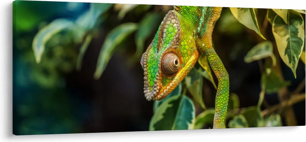 Tablou cu cameleon (120x50 cm)
