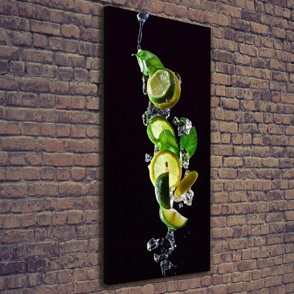 Tablou canvas Lime si lamaie