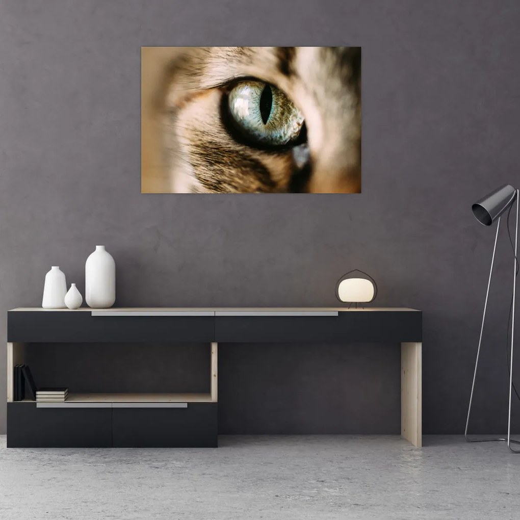 Tablou - Ochi de pisică (90x60 cm)