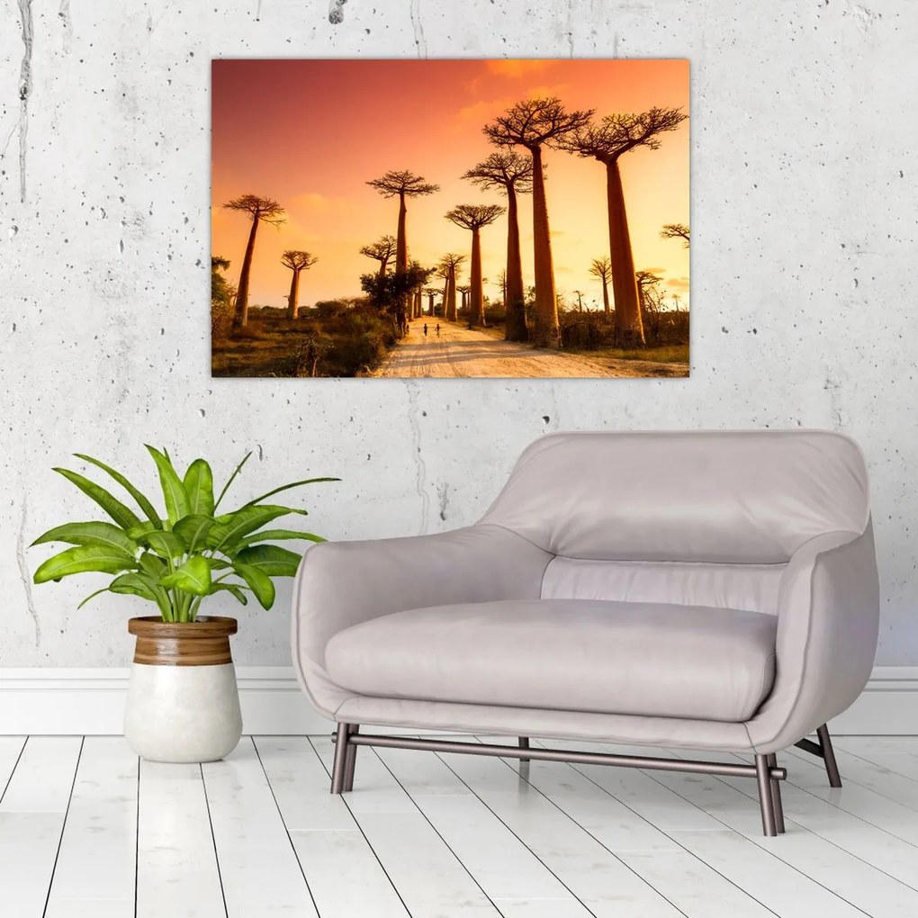 Tablou - Apus de soare pe Aleea Baobabilor (90x60 cm)