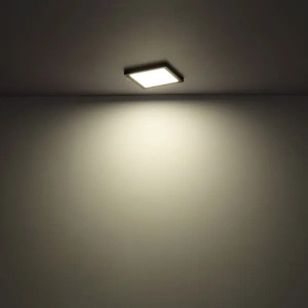 Plafonieră LED LASSE LED/24W/230V 3000/4000/6500K albă Globo 12380-24W