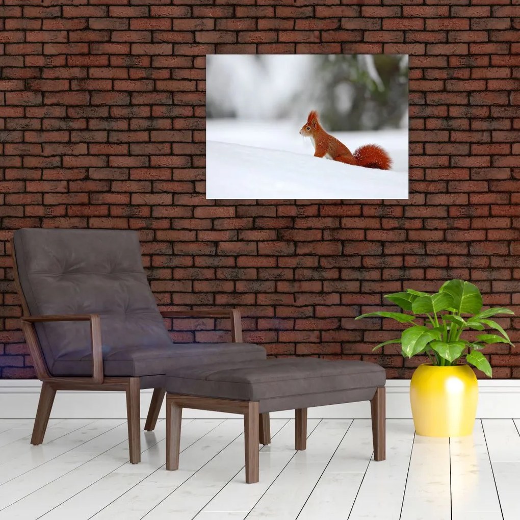 Tablou - Vevetițe (70x50 cm)