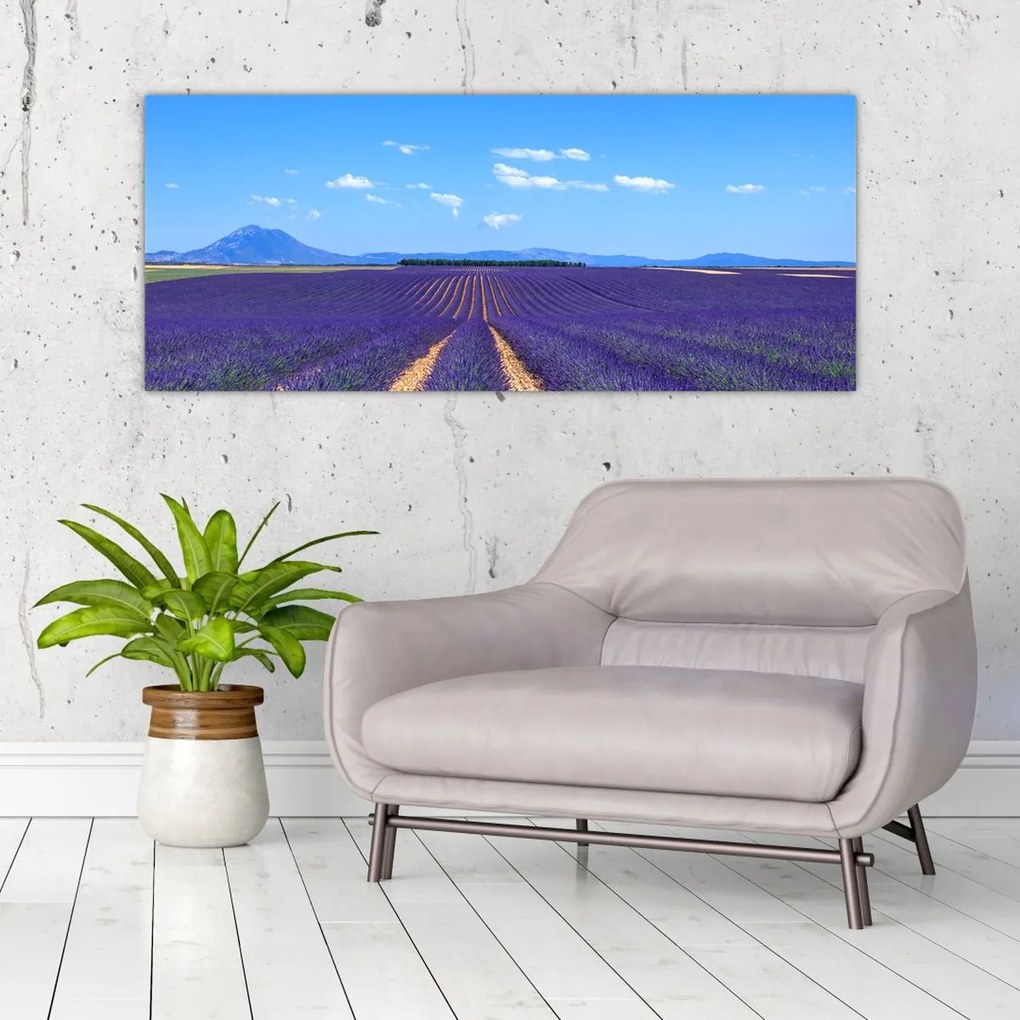 Tablou - Câmp de lavandă (120x50 cm)