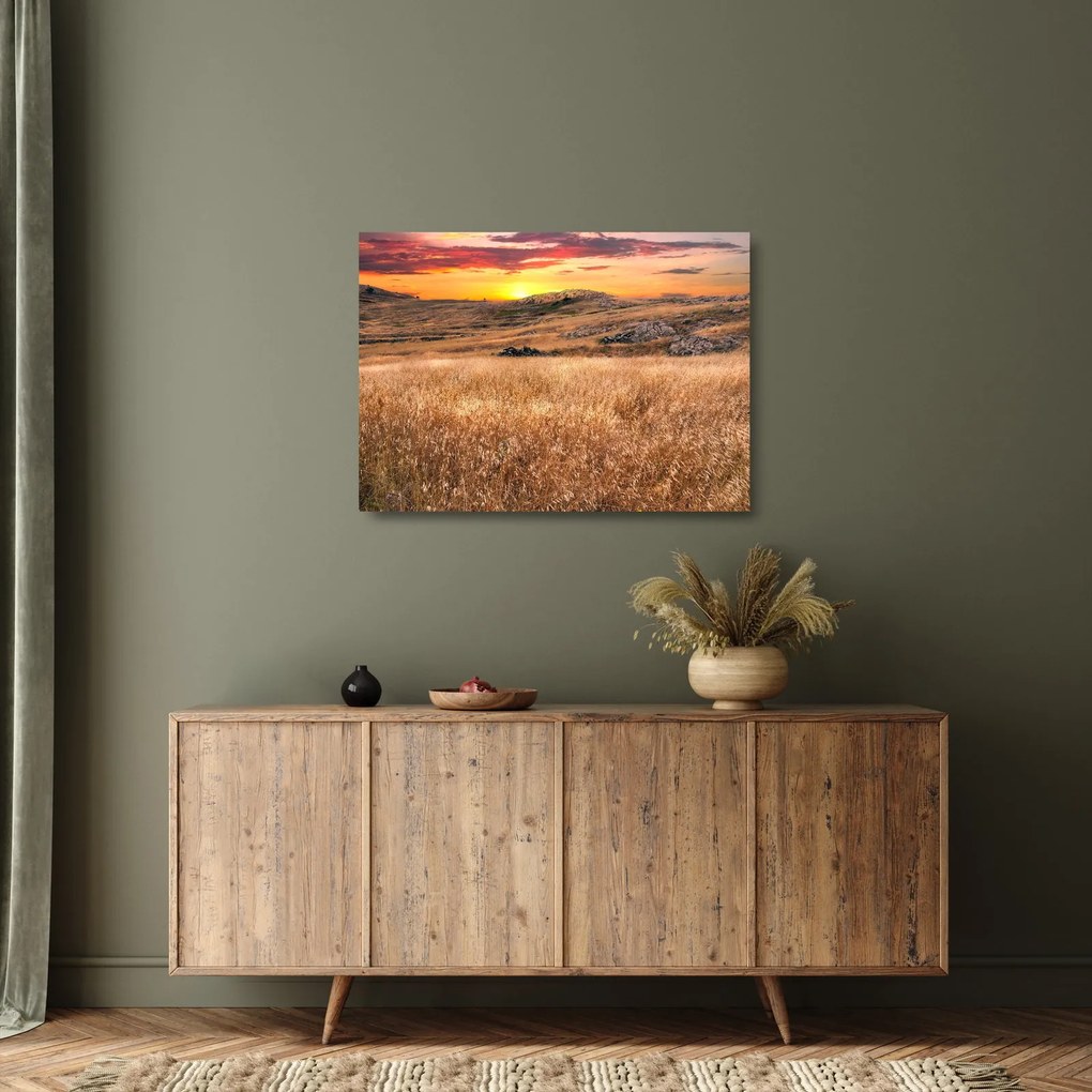Tablou pe sticlă cu câmp (70x50 cm)