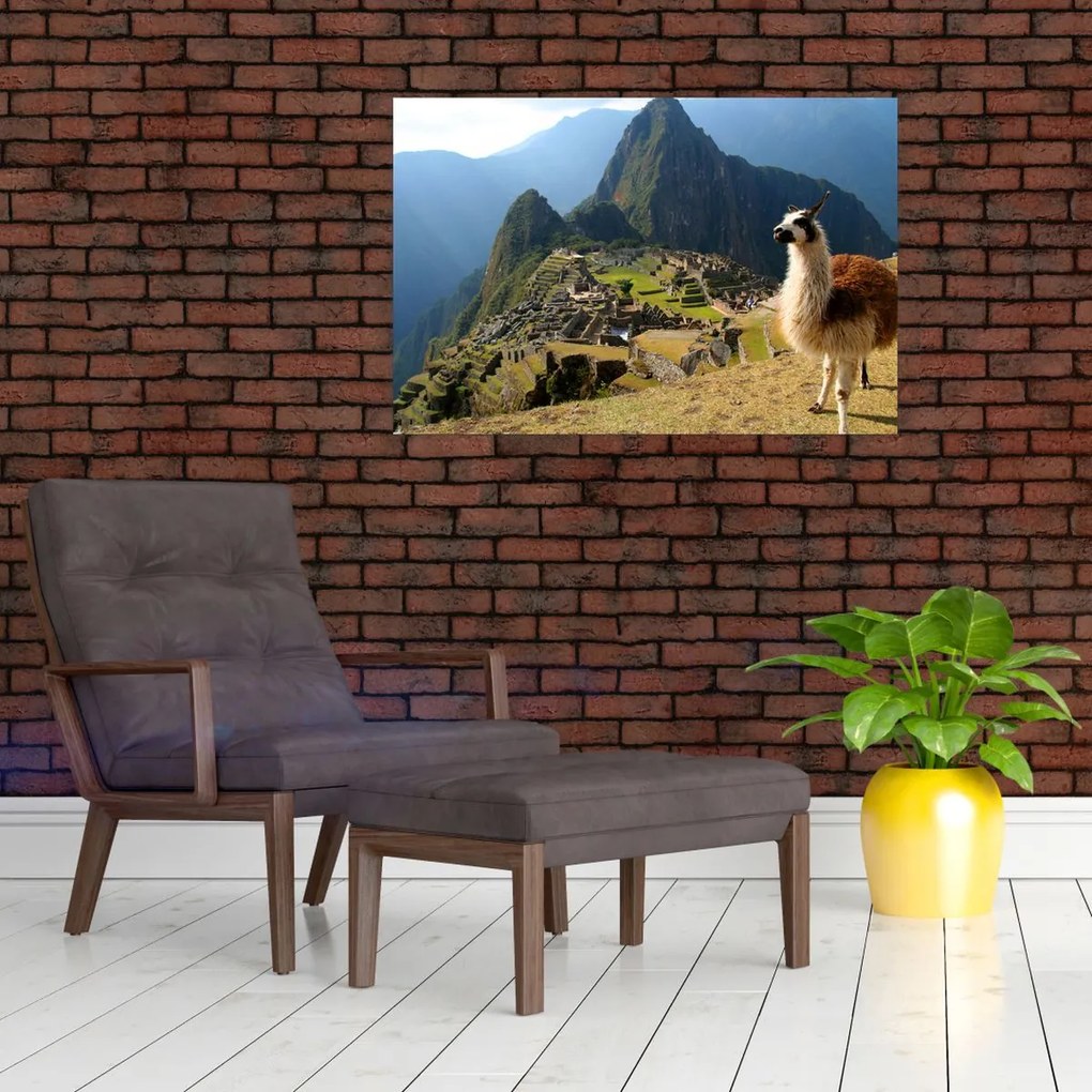 Tablou - Lama și Machu Picchu (90x60 cm)