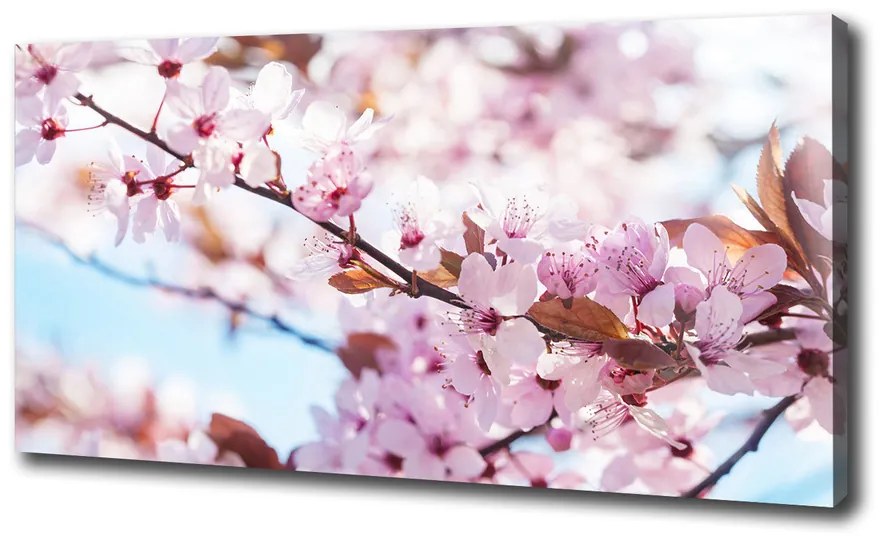 Print pe canvas Flori de cireș
