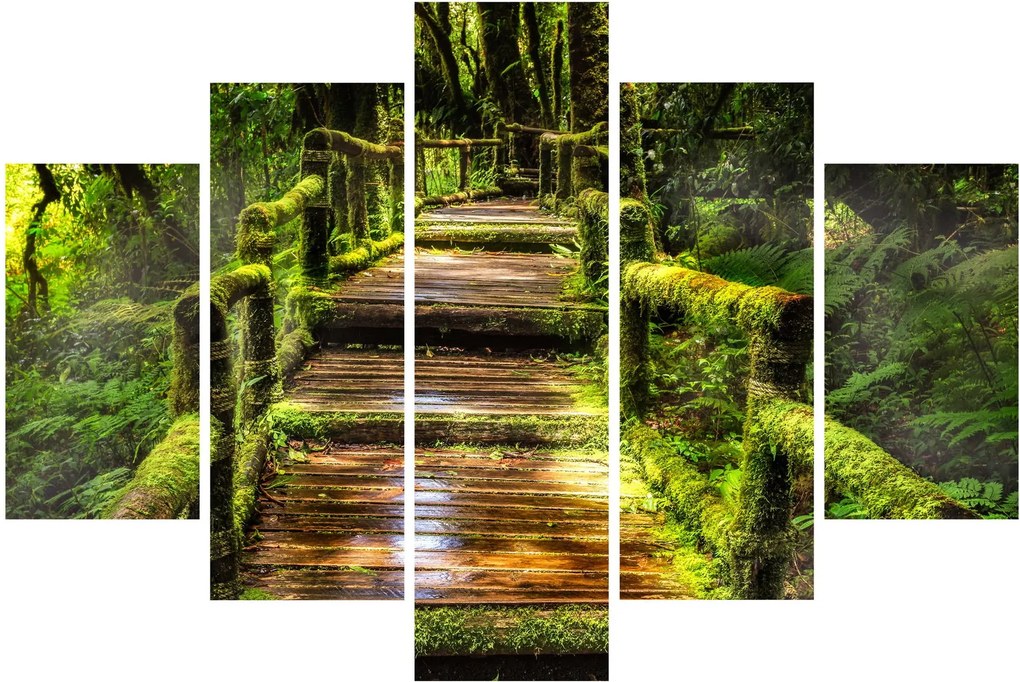 Tablou cu scări într-o pădure tropicală (150x105 cm)