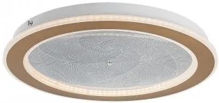 Plafoniera moderna led 24W telecomanda ZOFRAEL 71281 Rabalux