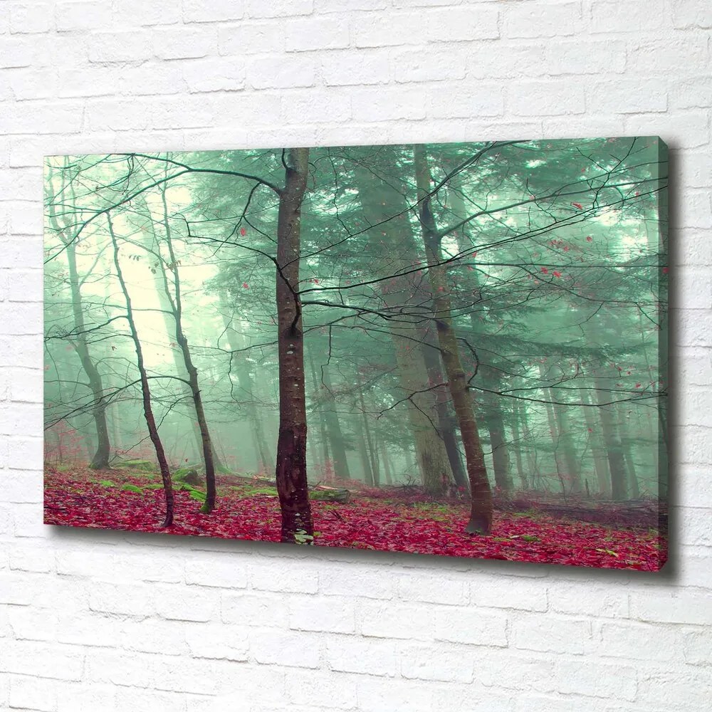 Print pe canvas Frunze de toamna