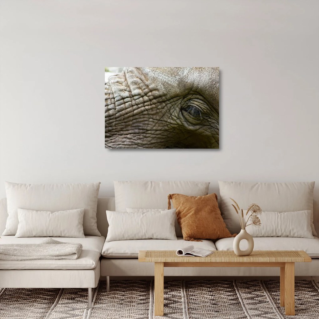 Tablou pe sticlă - Prim-planul ochiului de elefant vechi (70x50 cm)