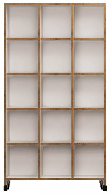 Biblioteca Crotone, Stejar