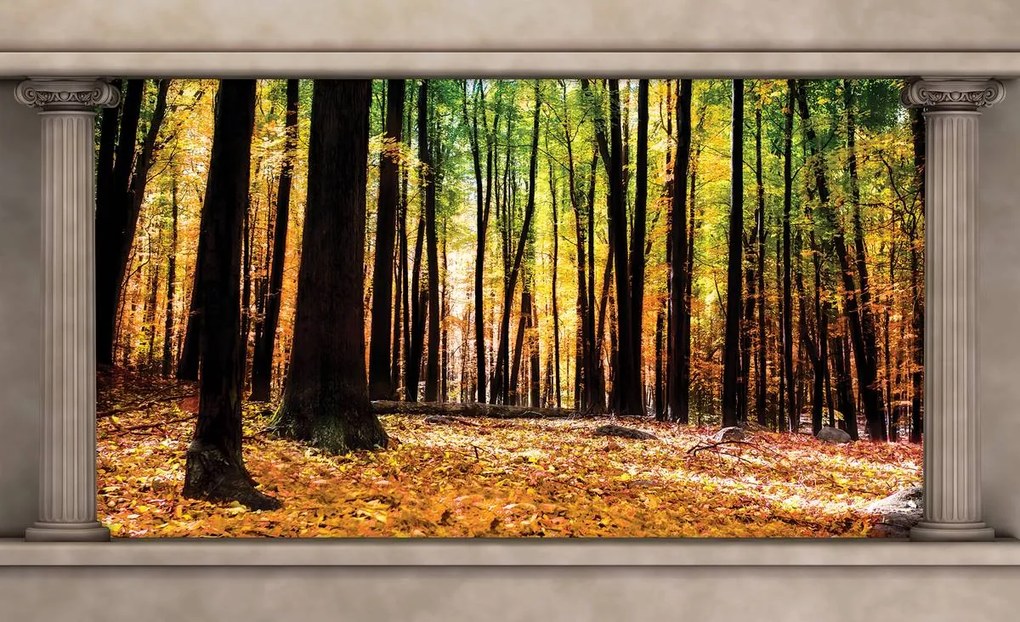 Fototapet - Pădure de toamnă (152,5x104 cm)
