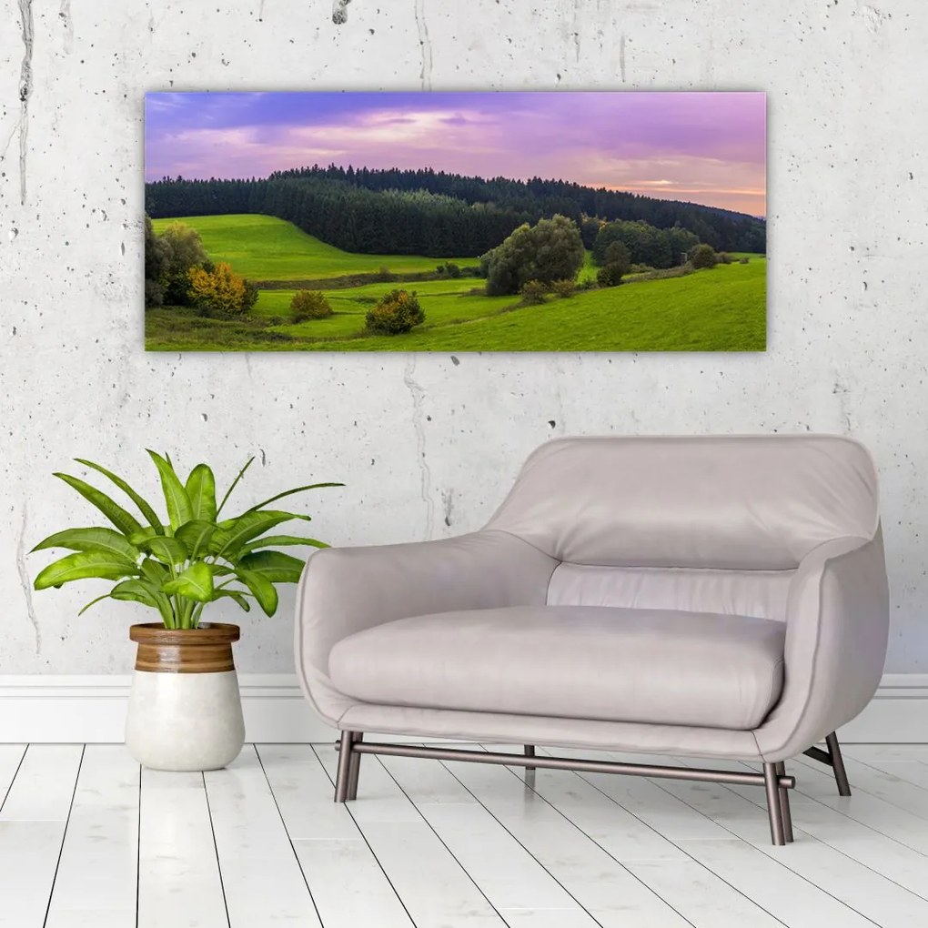 Tablou cu lunca (120x50 cm)