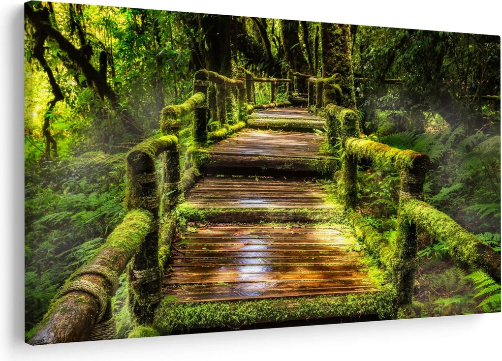 Tablou cu scări într-o pădure tropicală (90x60 cm)