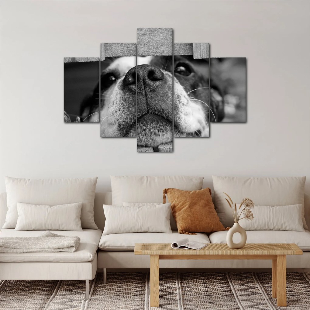 Tablou cu câine (150x105 cm)