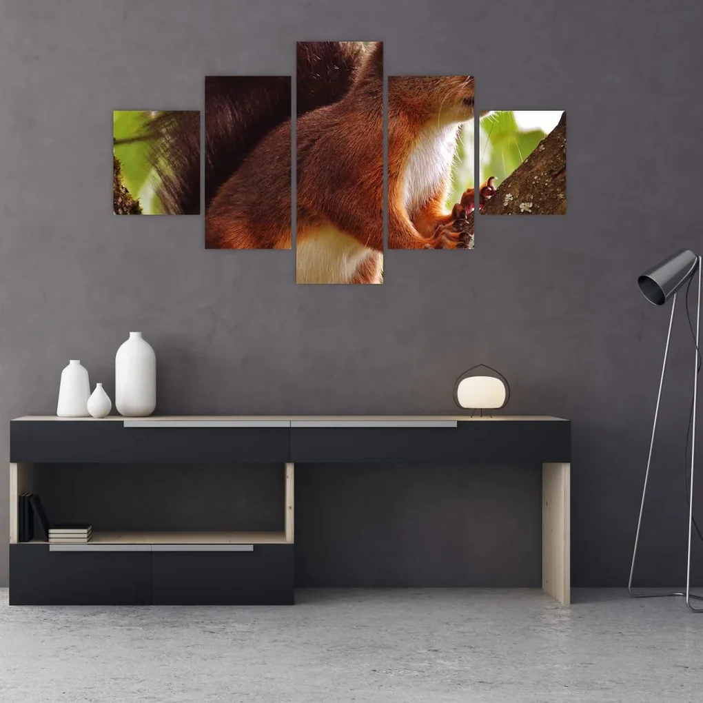 Tablou cu veverița (125x70 cm), în 40 de alte dimensiuni noi