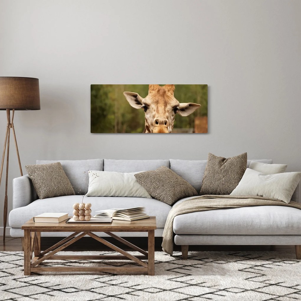 Tablou girafe (120x50 cm)