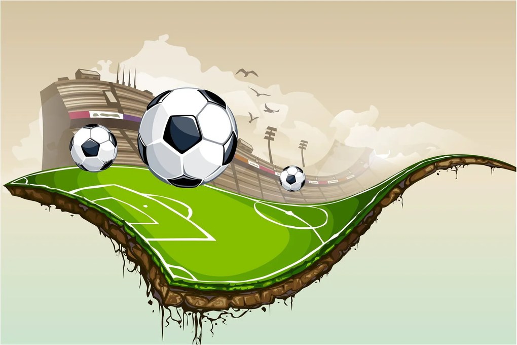 Tablou - Teren de fotbal (90x60 cm)