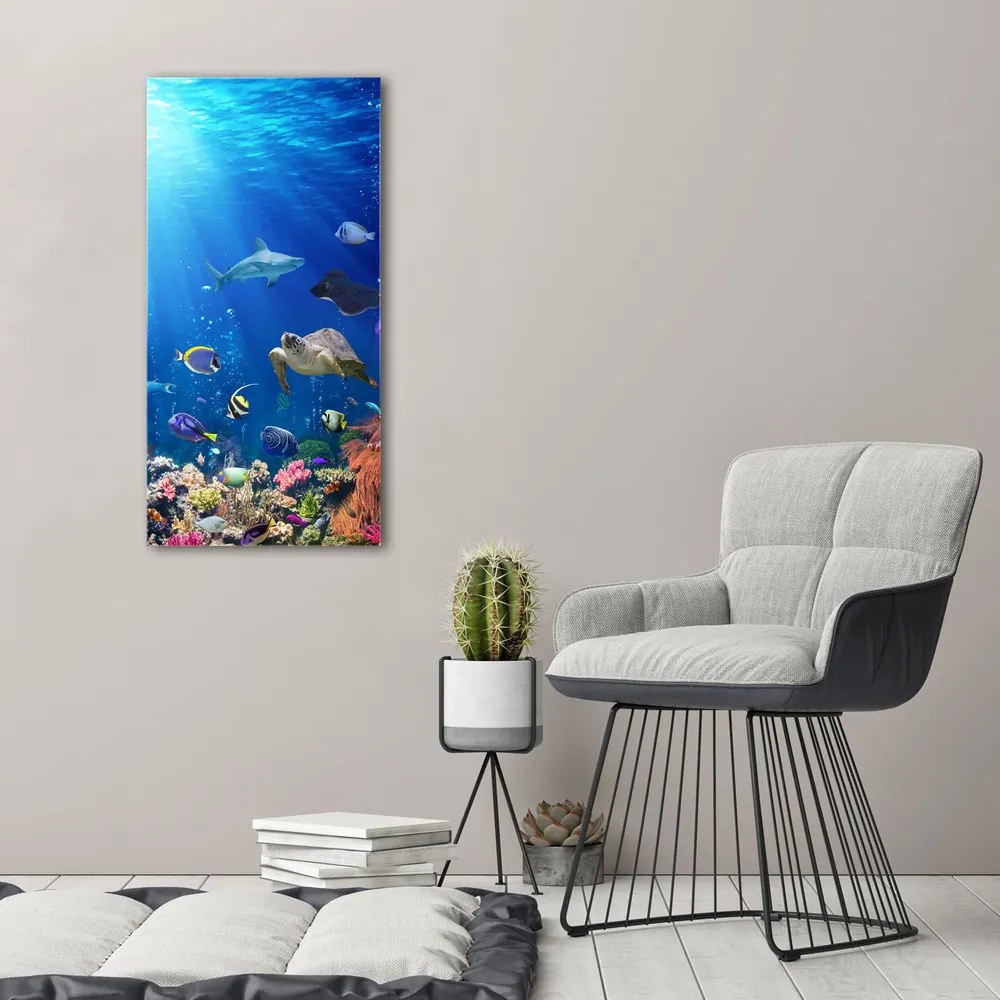 Tablou pe pânză canvas Recif de corali