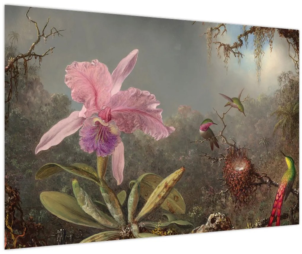 Tablou - Martin Johnson Heade, Cattleya Orchid and Three Hummingbirds, reproducere (90x60 cm)