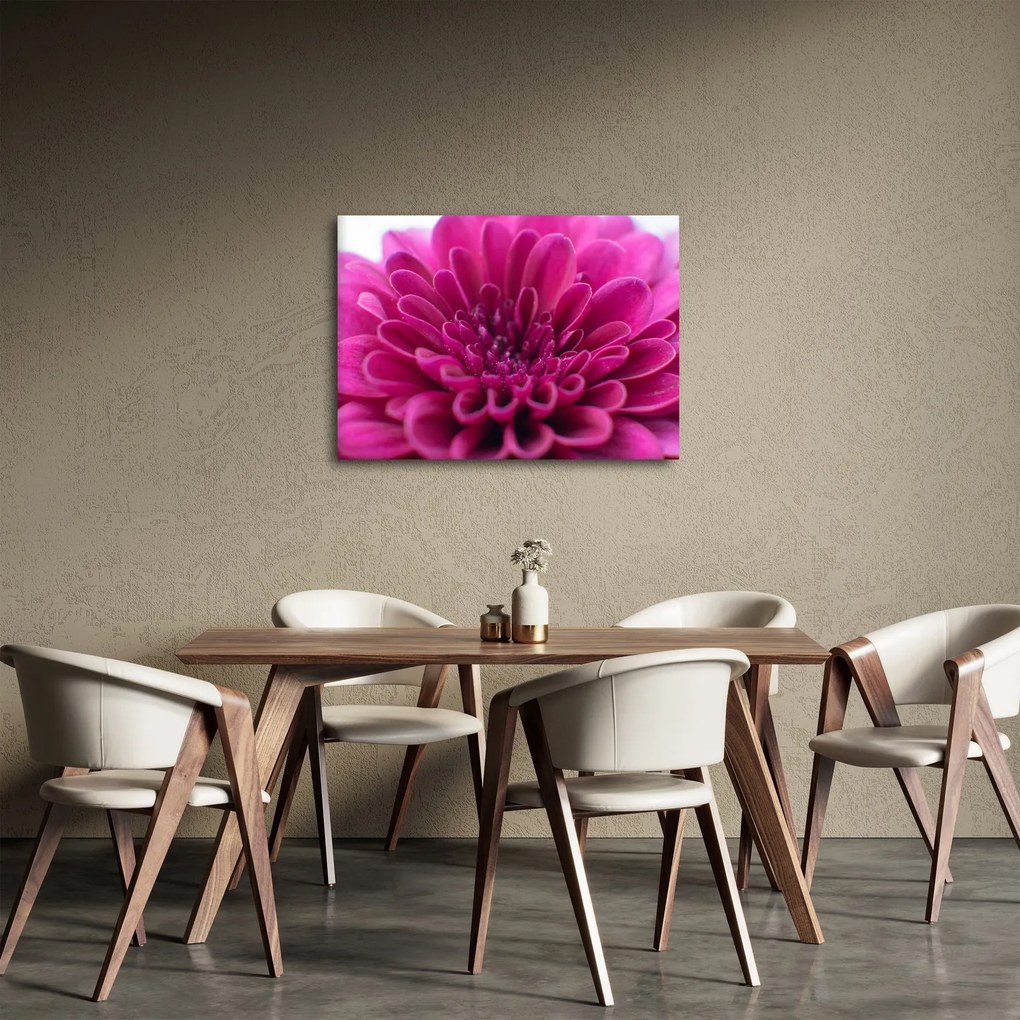 Tablou cu floare (70x50 cm)