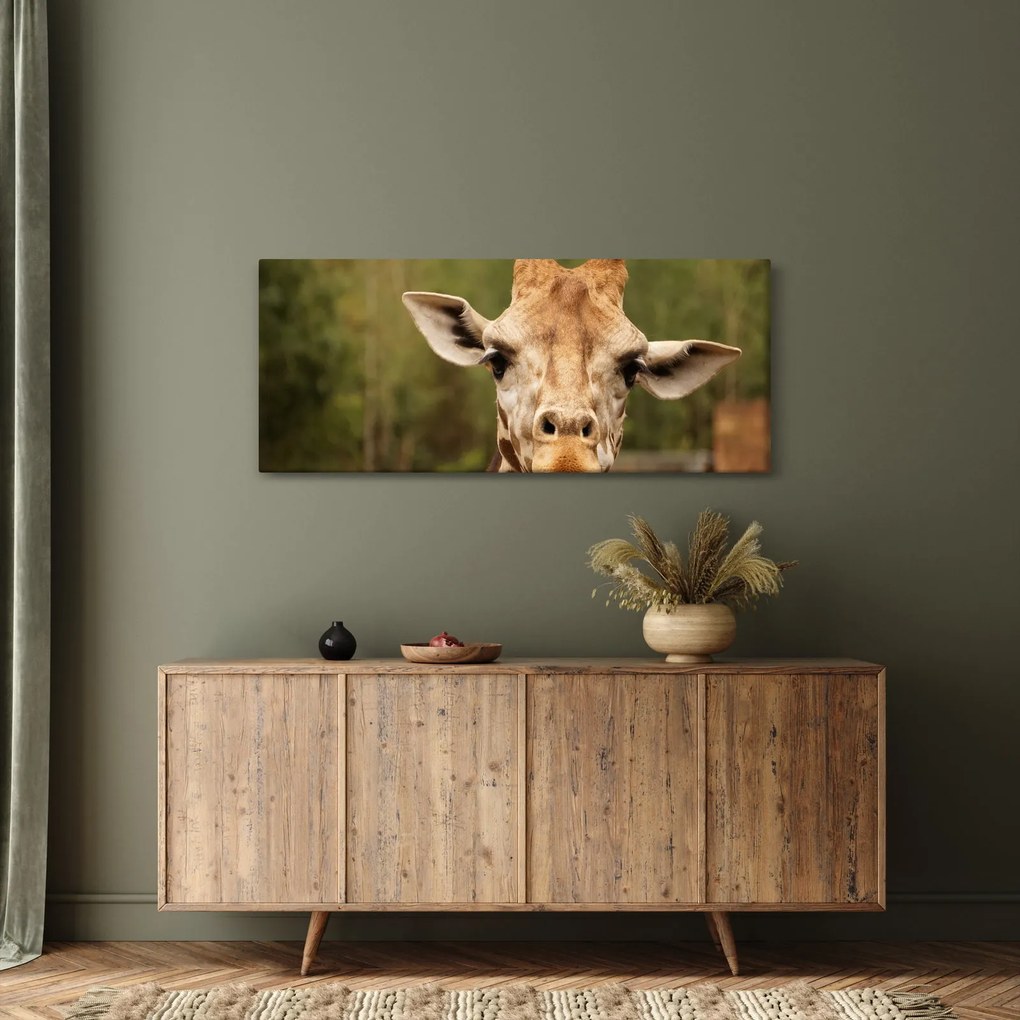 Tablou girafe (120x50 cm)