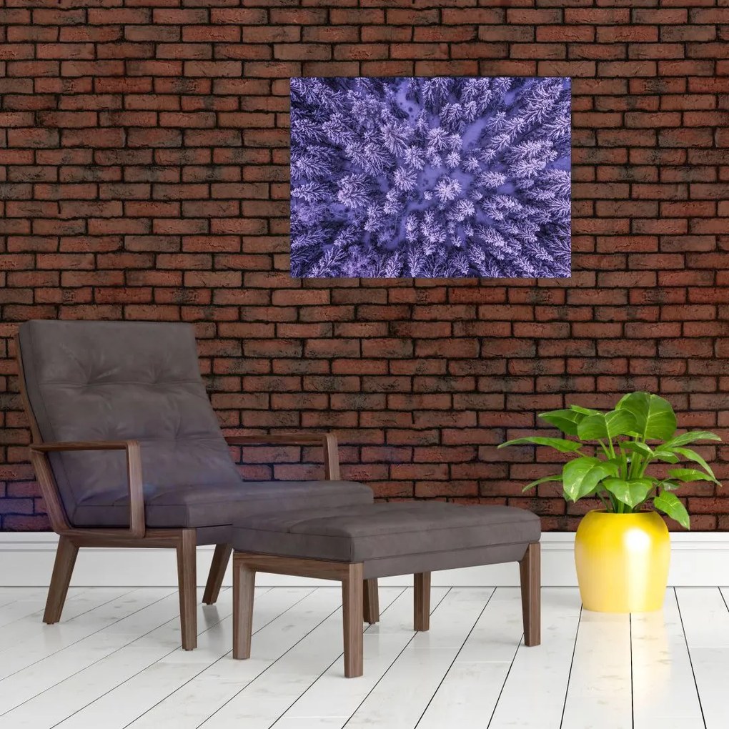 Tablou cu copacii înzăpeziți (70x50 cm)