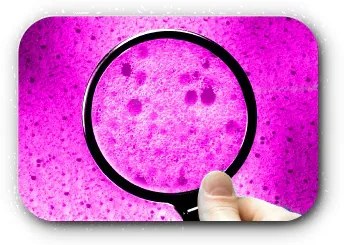 Saltea antibacteriana LATEX 24 cm 160 x 200 cm Protectie saltea: FARA protectie saltea