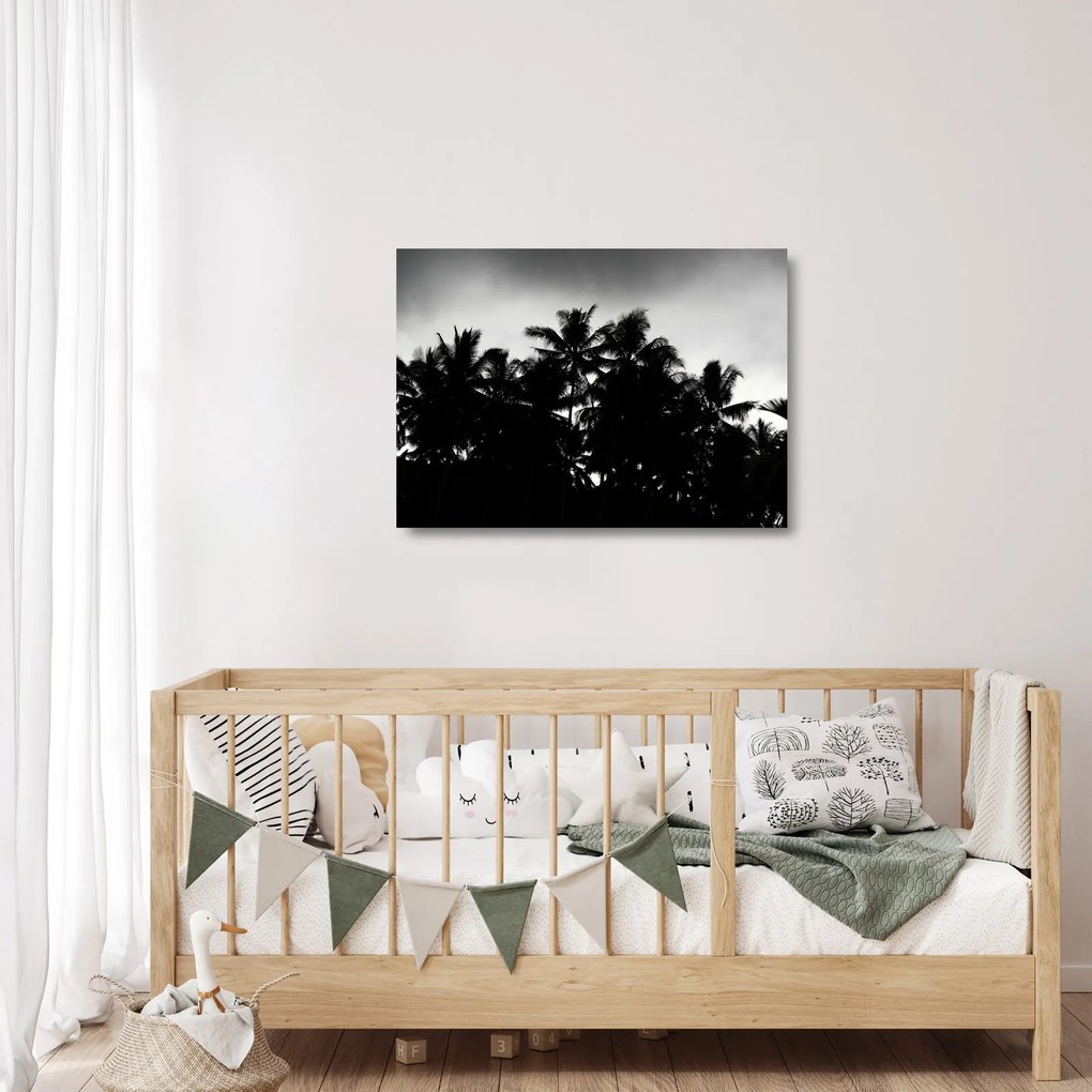 Tablou pe sticlă alb negru - palmieri (70x50 cm)