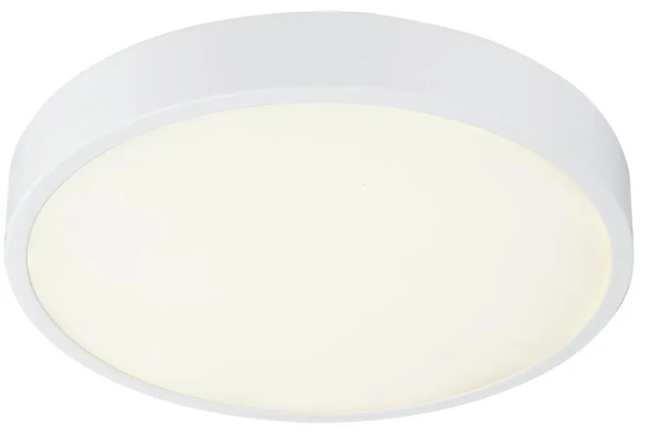 Globo 12364-30 - LED plafonieră dimabilă LED/28W/230V