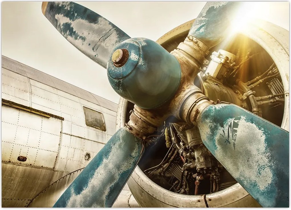 Tablou - Elice de avion vechi (70x50 cm)