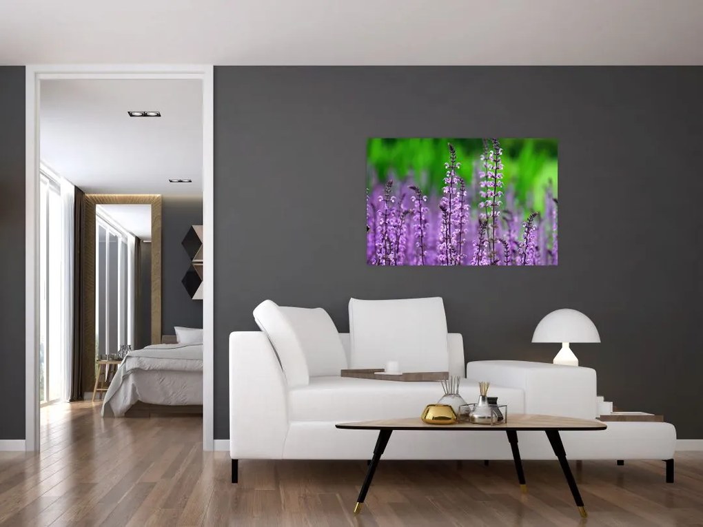 Tablou cu flori de luncă violete (90x60 cm)