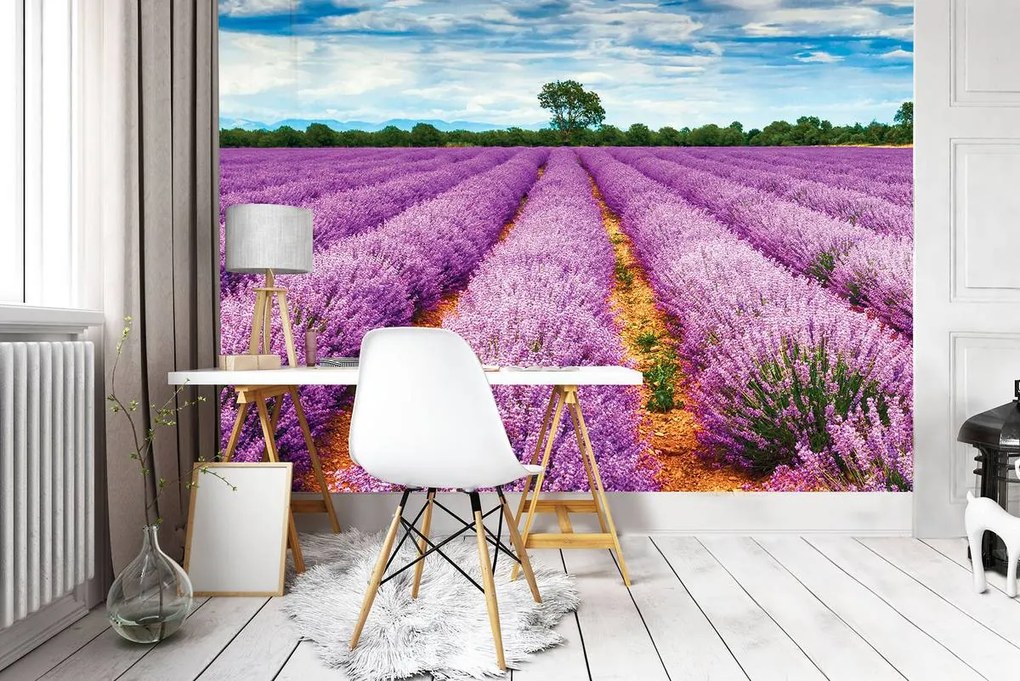 Fototapet - Cămpuri cu lavanda (254x184 cm)