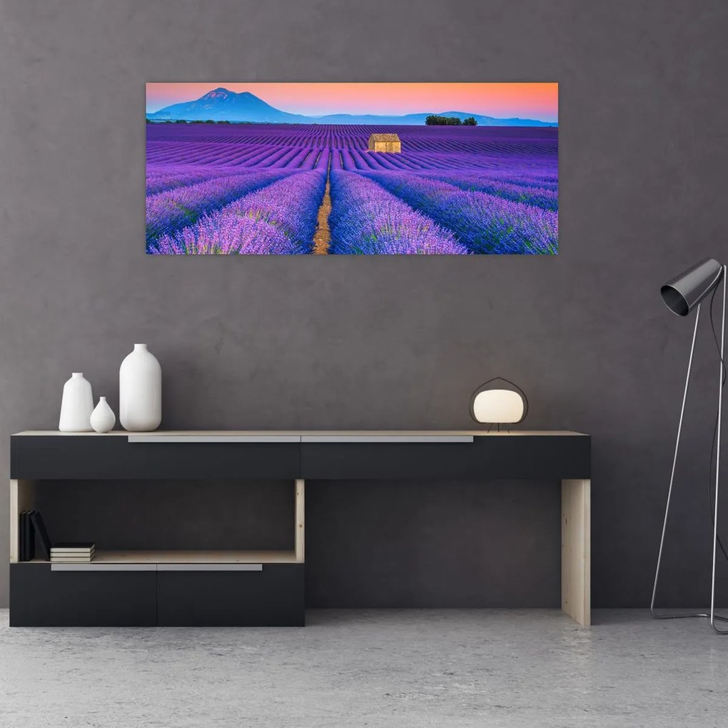 Tablou - Câmp de levănțica (120x50 cm)