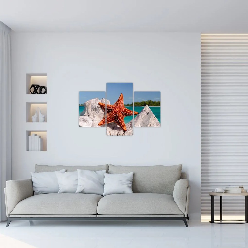 Tablou cu stea de mare (90x60 cm)
