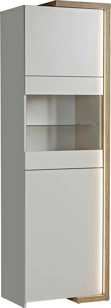 Vitrina DASAR, grej/stejar, PAL laminat/sticla, 64x40x203 cm